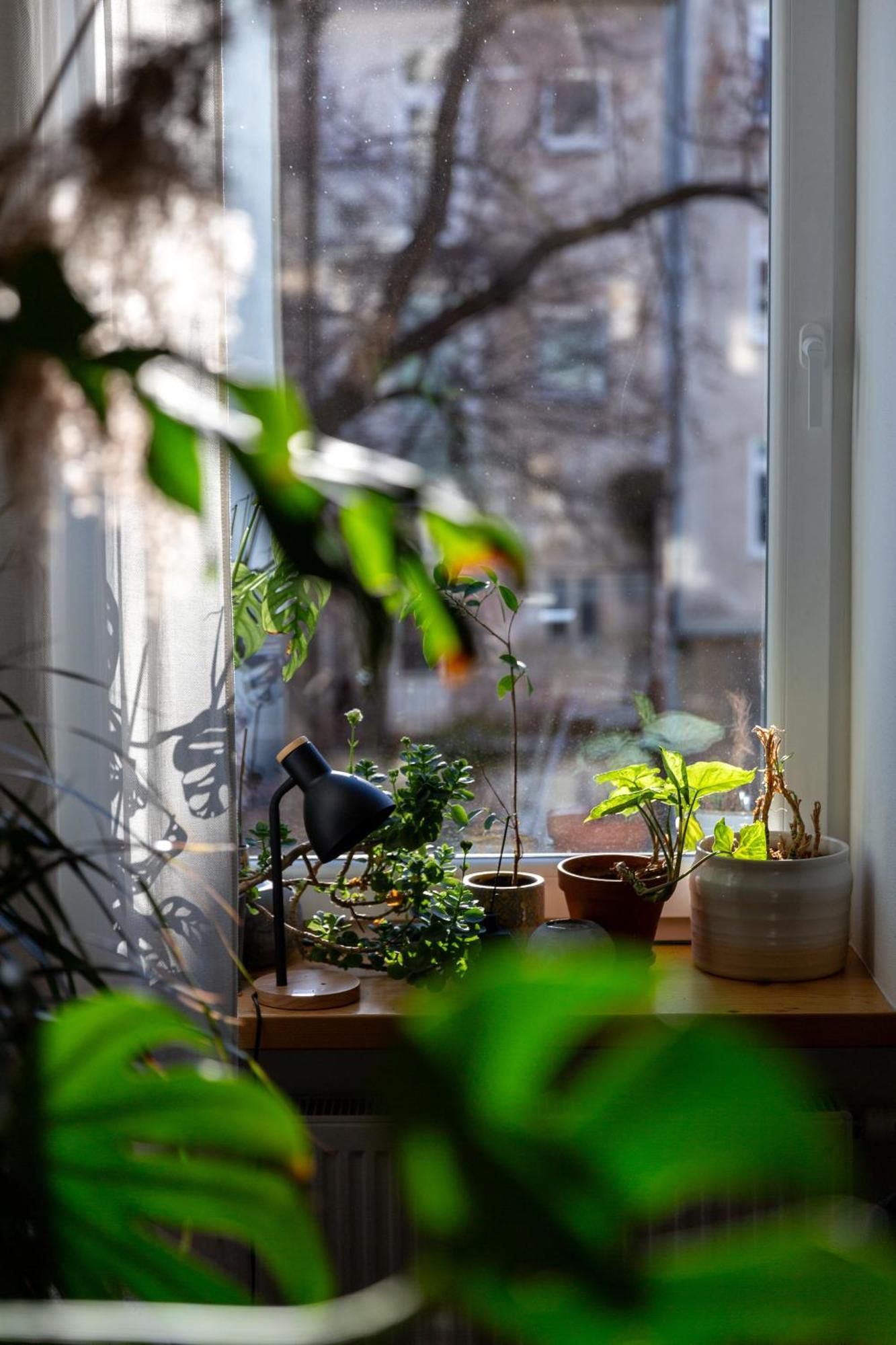 Evergreen - Old Town Spacious Stylish Apartment With Ac And One And A Half Bath, Baby & Kid- Friendly 布拉迪斯拉发 外观 照片