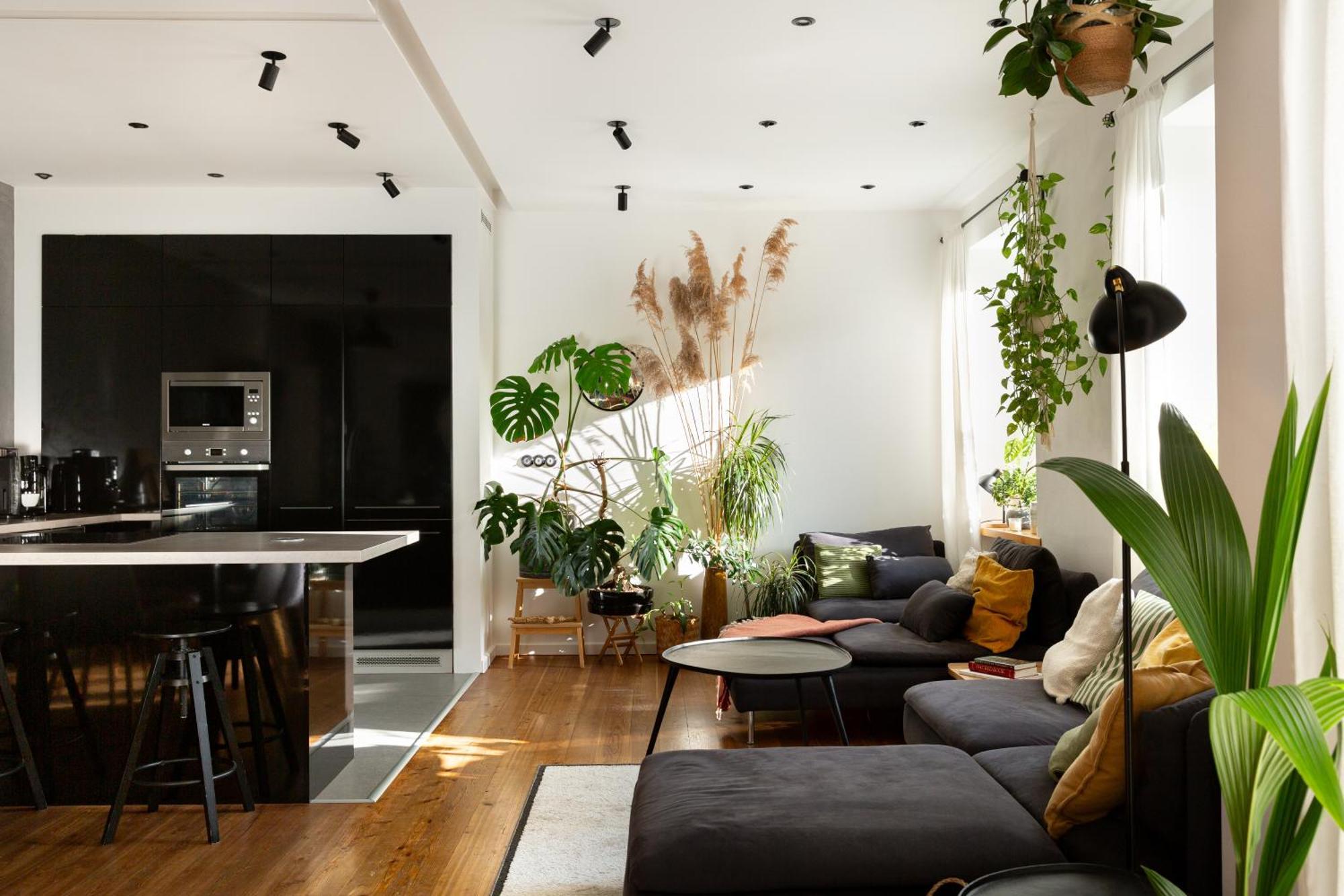 Evergreen - Old Town Spacious Stylish Apartment With Ac And One And A Half Bath, Baby & Kid- Friendly 布拉迪斯拉发 外观 照片