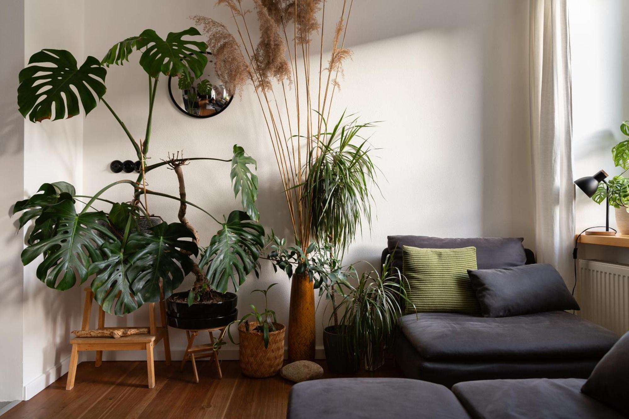 Evergreen - Old Town Spacious Stylish Apartment With Ac And One And A Half Bath, Baby & Kid- Friendly 布拉迪斯拉发 外观 照片