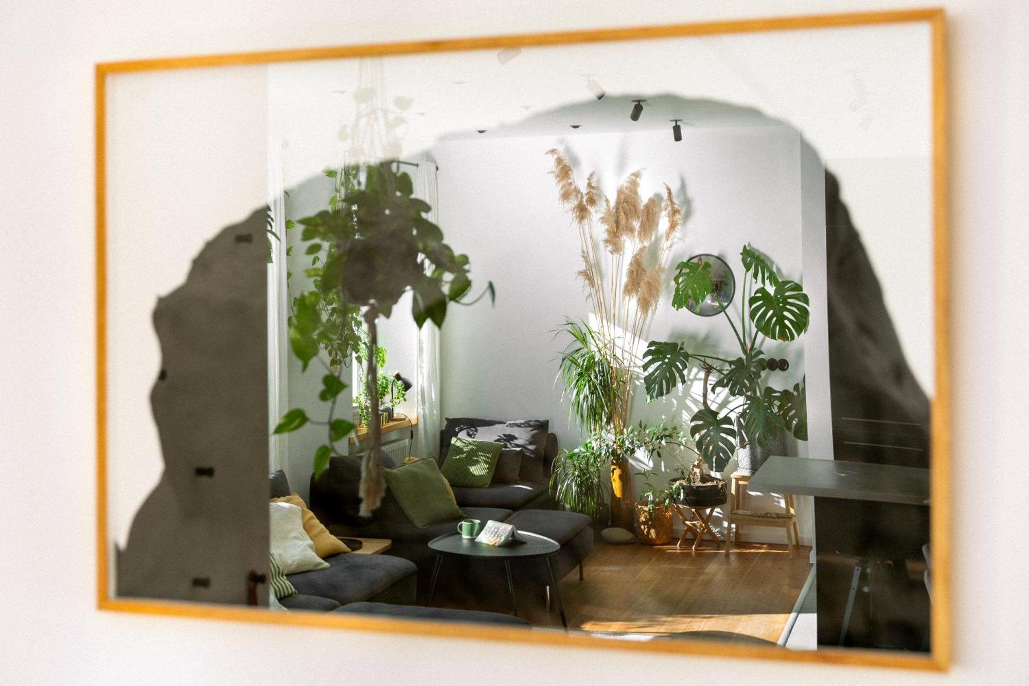 Evergreen - Old Town Spacious Stylish Apartment With Ac And One And A Half Bath, Baby & Kid- Friendly 布拉迪斯拉发 外观 照片