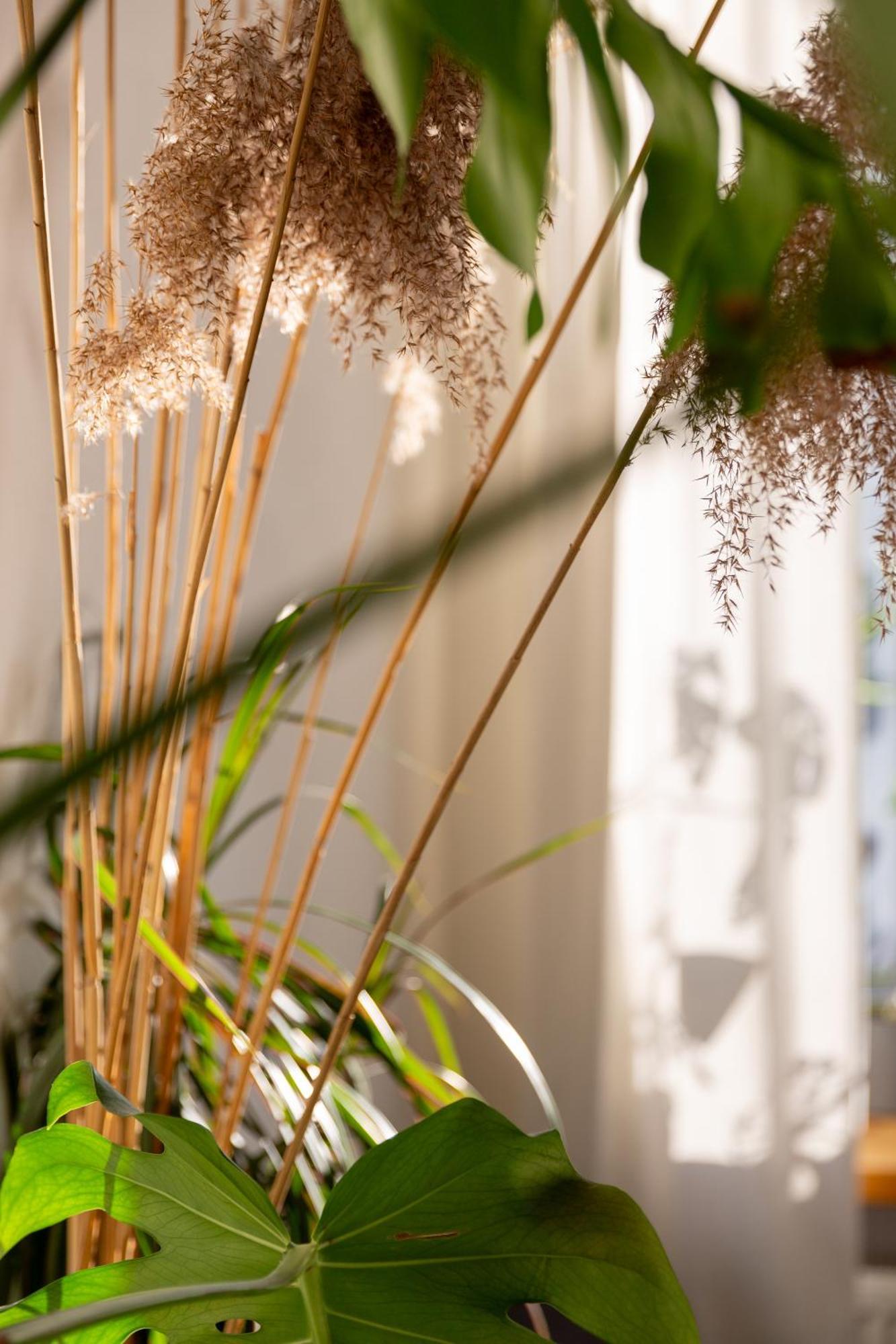Evergreen - Old Town Spacious Stylish Apartment With Ac And One And A Half Bath, Baby & Kid- Friendly 布拉迪斯拉发 外观 照片
