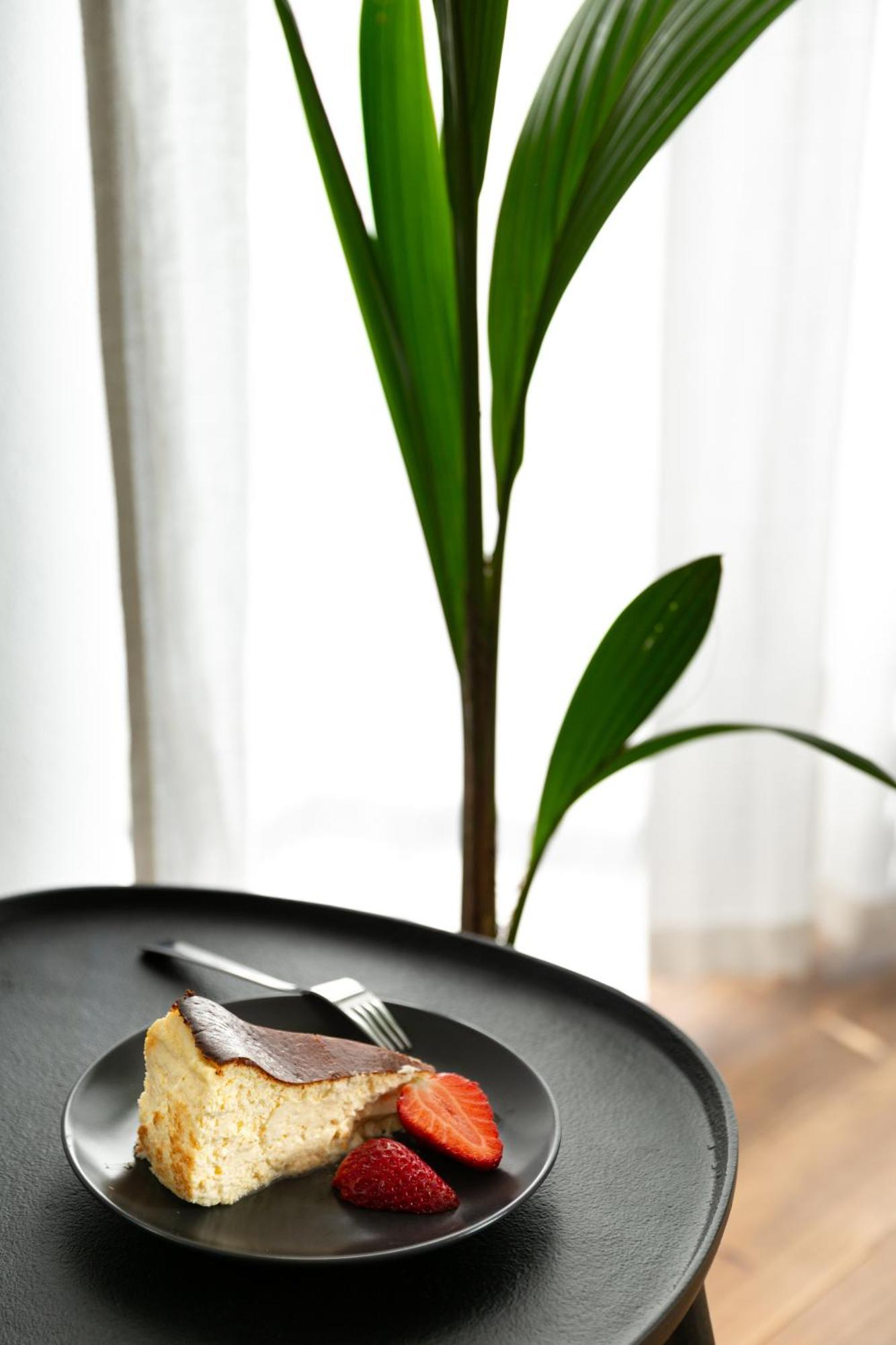 Evergreen - Old Town Spacious Stylish Apartment With Ac And One And A Half Bath, Baby & Kid- Friendly 布拉迪斯拉发 外观 照片